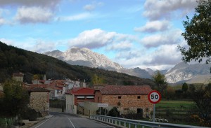 Parvesil