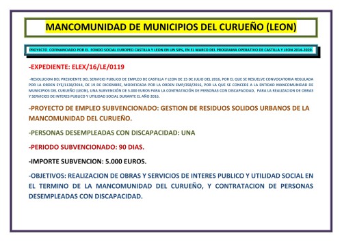 ELEX_2016_JUNTA_CASTILLA_Y_LEON_DISCAPACIDAD_2016-1