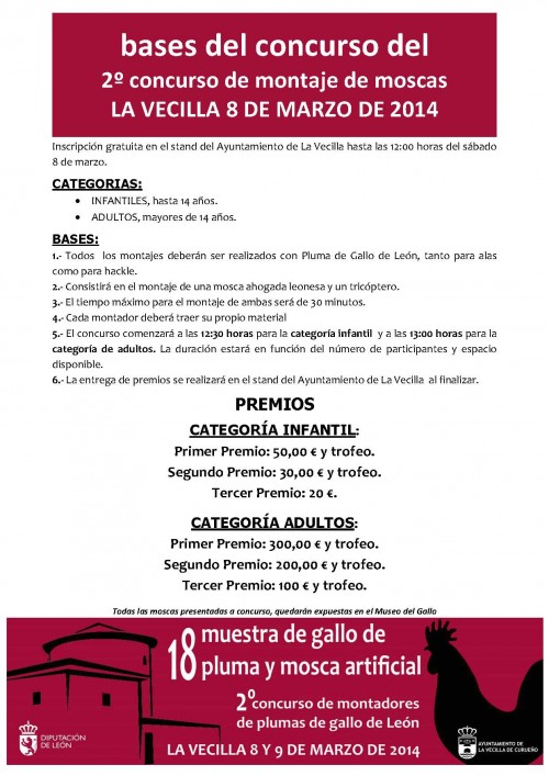 BASES DEL CONCURSO DE MONTAJE